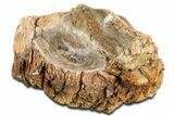 Polished Petrified Wood Soap Dish - Madagascar #346941-2